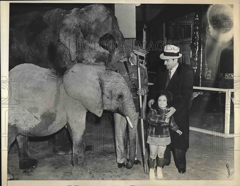 1936 Little Girl Looking At Elephants At the Zoo  - Historic Images