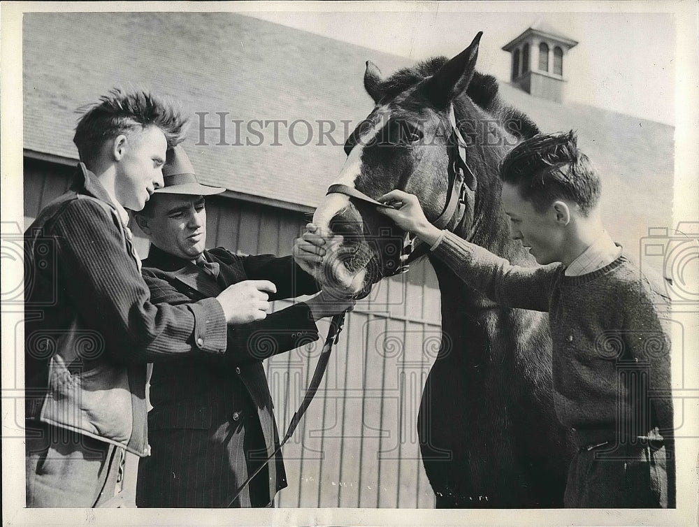 1943 John Rosenberg Wally Jung Paul Rietveld Horse Farm  - Historic Images