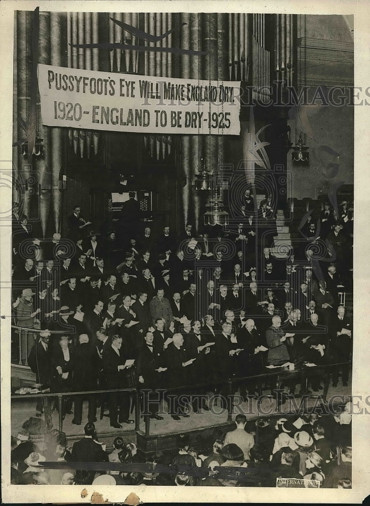1920 Great Strength of Britain Movement demonstration, Central Hall - Historic Images