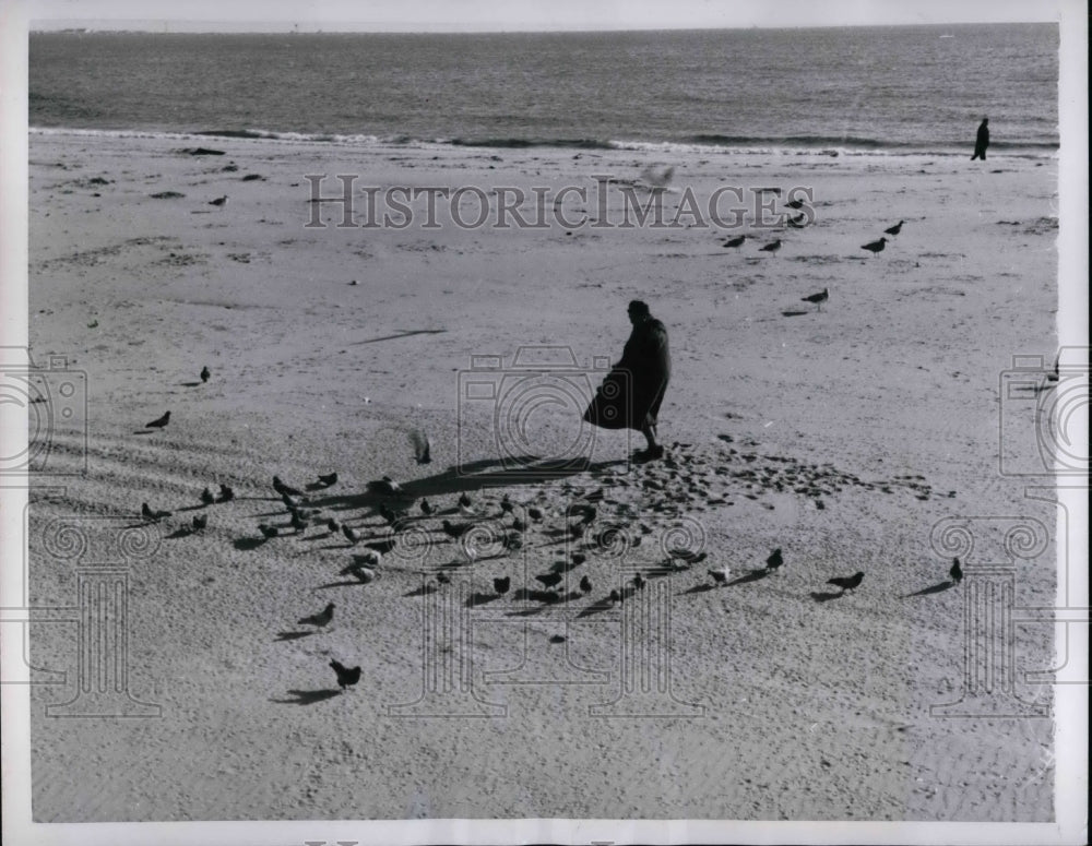 1957 Press Photo Coney Island Beach New York Brooklyn Pigeon - nea65353 - Historic Images