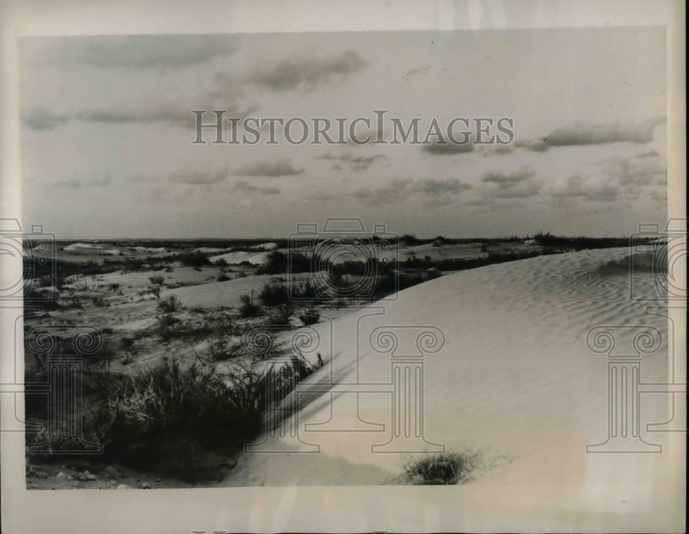 1938 Press Photo Desert land in Libya cultivated by Italian Peasants - nea65453 - Historic Images