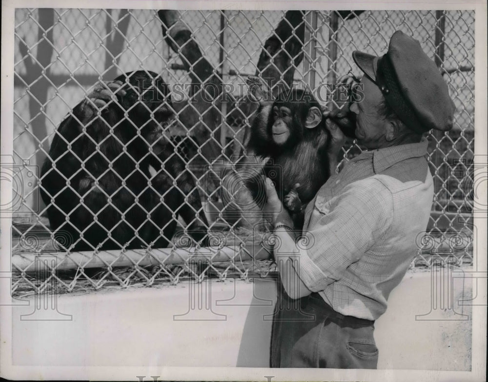 1950 San Francisco zoo, Chimp &amp; keeper Bill Wills  - Historic Images