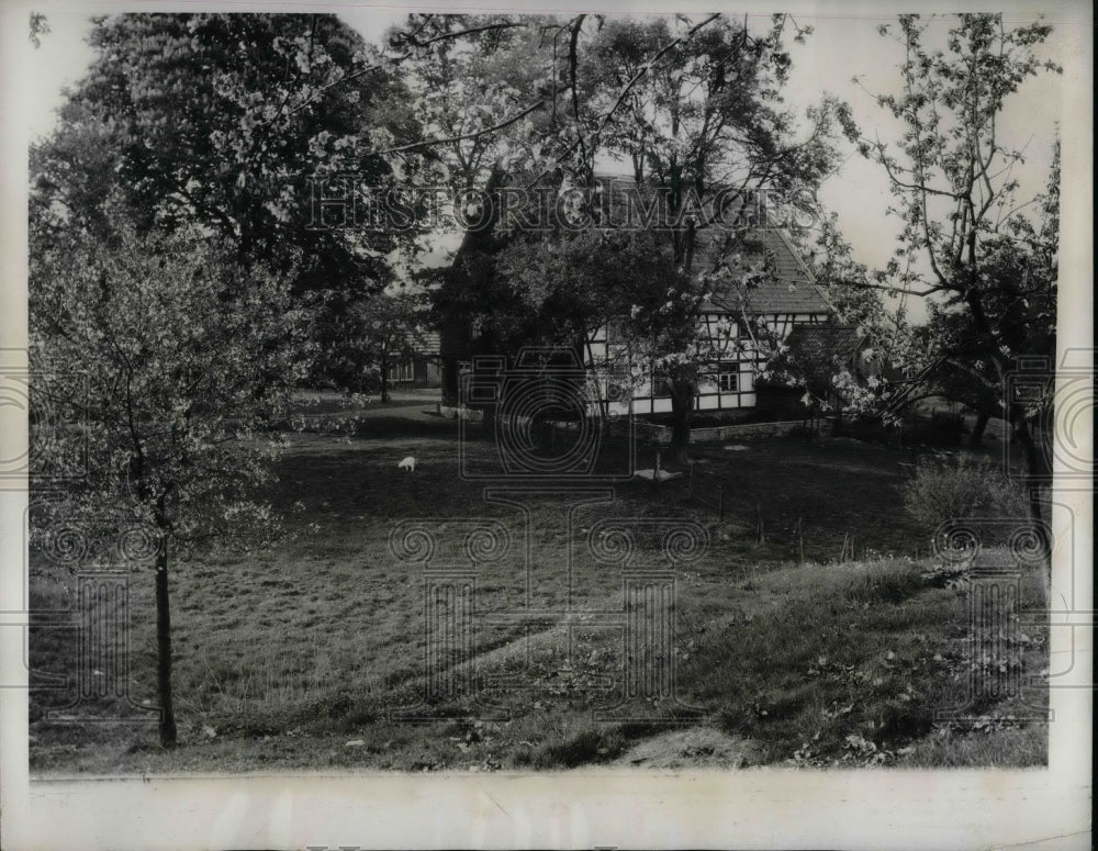 1933 Spring is Evident Near Elberfeld Germany  - Historic Images