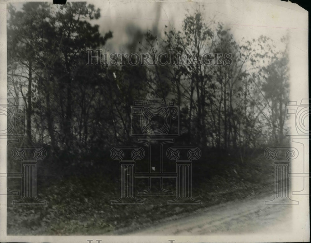 1927 Long Island Forest Fire  - Historic Images
