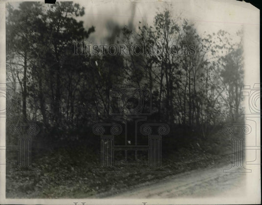 1927 Long Island Forest Fire  - Historic Images