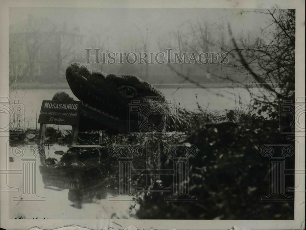 1927 Press Photo Ichthyosanrus near Whitby Yorkshire - nea65946 - Historic Images