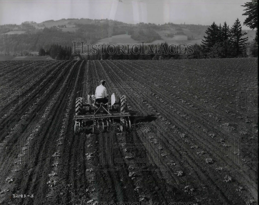 1954 Press Photo Modern Farm Tractors in Strawberry Field - nea65975 - Historic Images