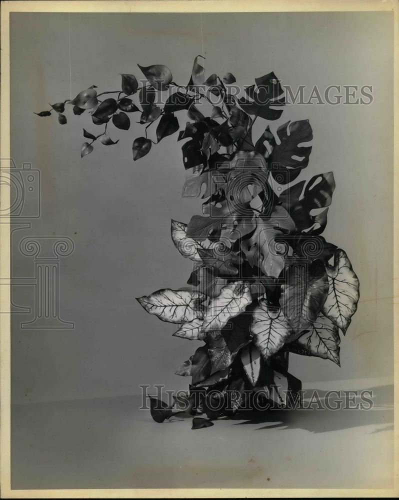 1956 Typical driftwood flower arrangement in plastic plants - Historic Images