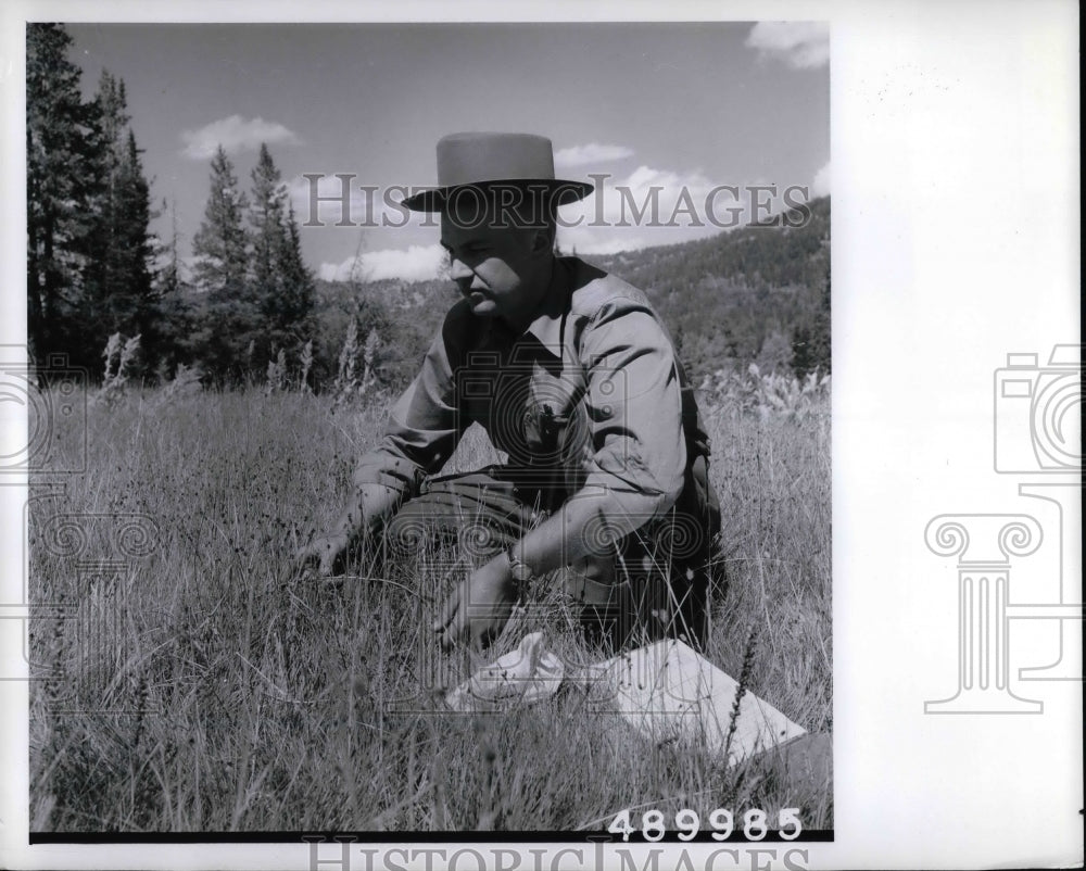 1964 A man taking out weeds  - Historic Images