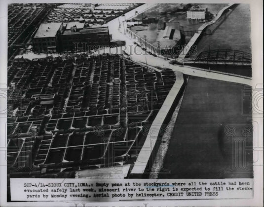 1952 Empty Pens at Stockyard Evacuated Due to Flood  - Historic Images