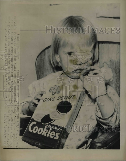 1951 Joyce Doswald, 3 Year Old Attacked by Stray Dog, St. Louis - Historic Images