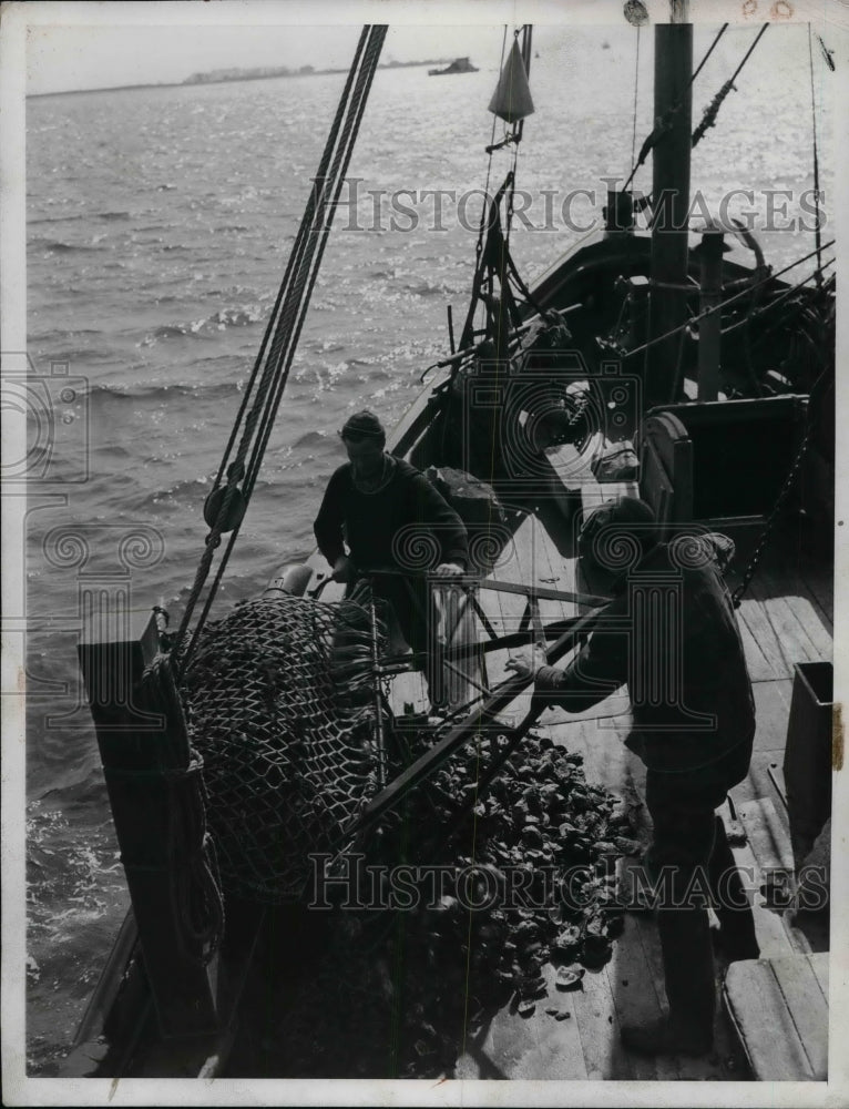 1938 oysters being harvested at opening of fall season  - Historic Images