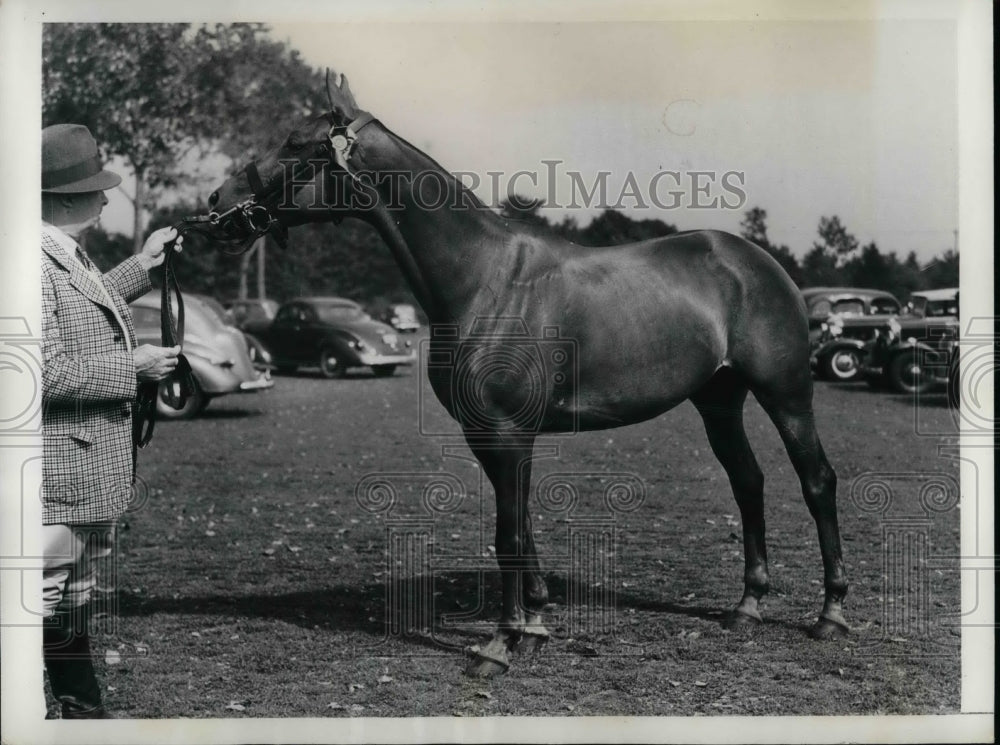 1937 Westbury, NY polo pony at National show  - Historic Images