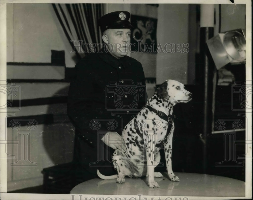 1931 a fireman and his Dalmation mascot  - Historic Images
