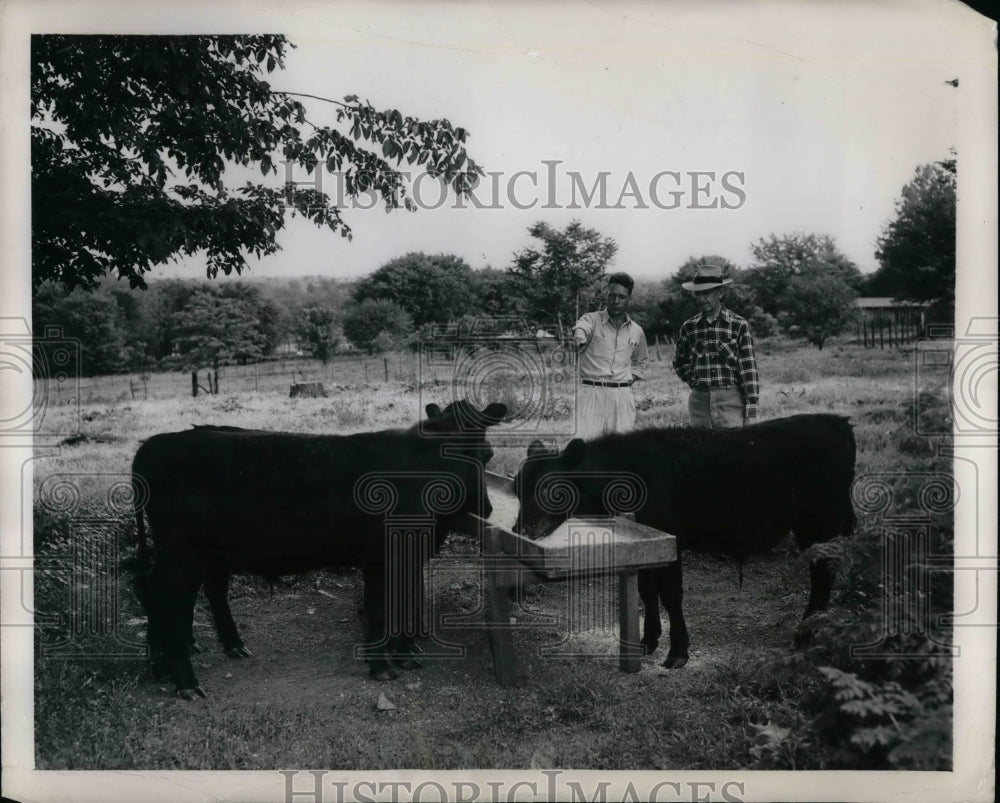 1949 Dr. Walter Dicke at cattle ranch  - Historic Images