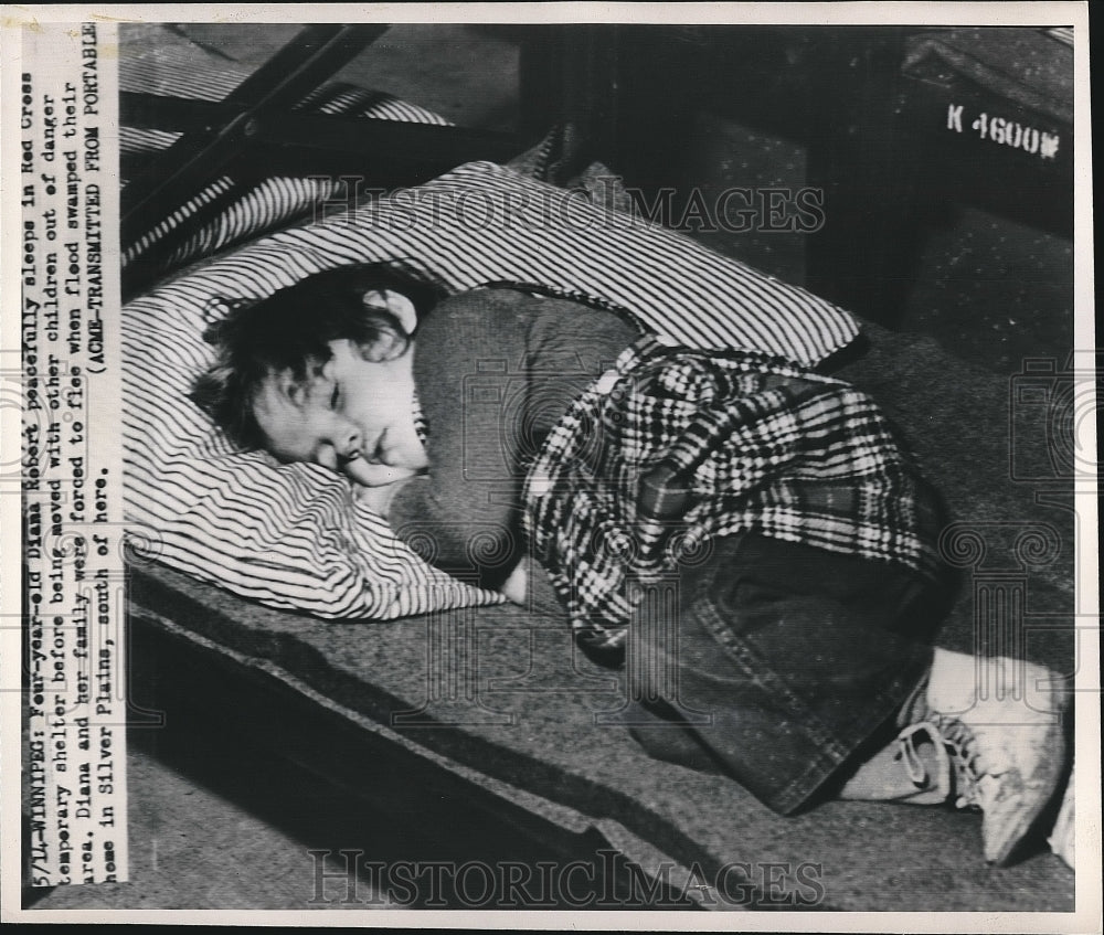 1950 Press Photo Diana Robert Red Cross Temp Shelter - nea68068 - Historic Images