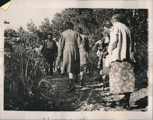 1941 Press Photo Tourists in mangroves at Palm Beach, Florida - nea68275 - Historic Images