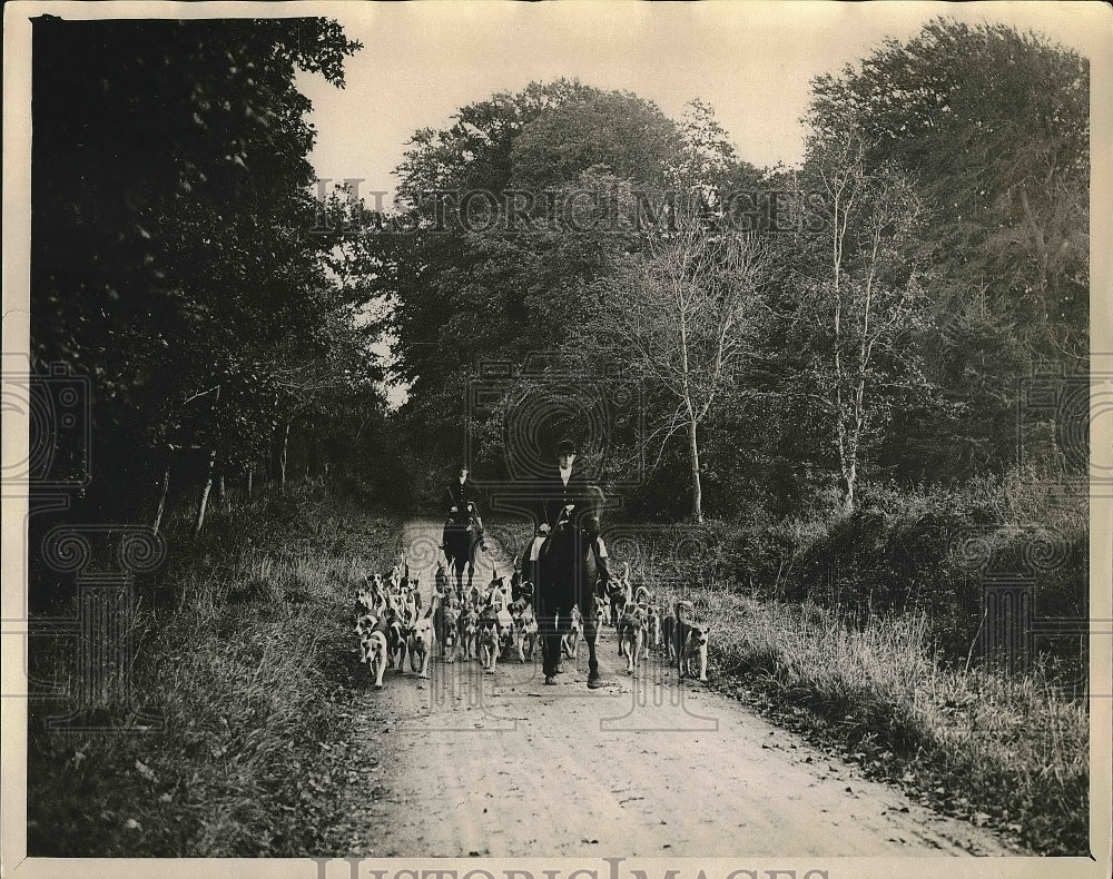 1930 Meet of the Louth Foxhounds at Mooretown  - Historic Images