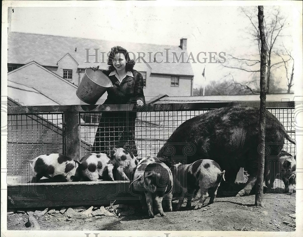 1943 Jean Kane, 15, feeds a litter of husky pigs, New York City - Historic Images