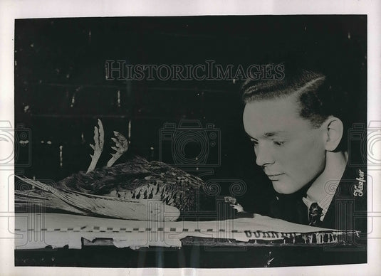 1938 Arthur Hopper London Zoo Keeper With Hypnotized Bird - Historic Images