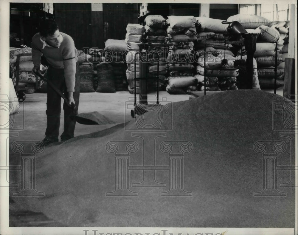 1932 Mixing Grass Seed in Cleveland  - Historic Images