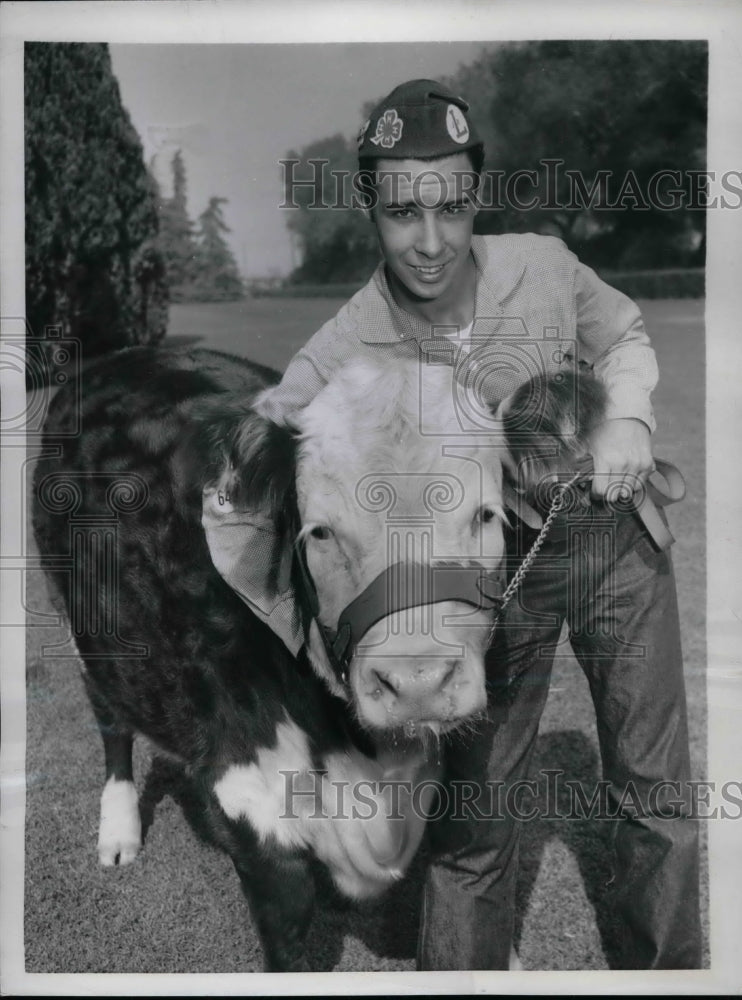 1953 Press Photo Bernie Kays Jr of Huntington Beach &amp; prize winning steer - Historic Images