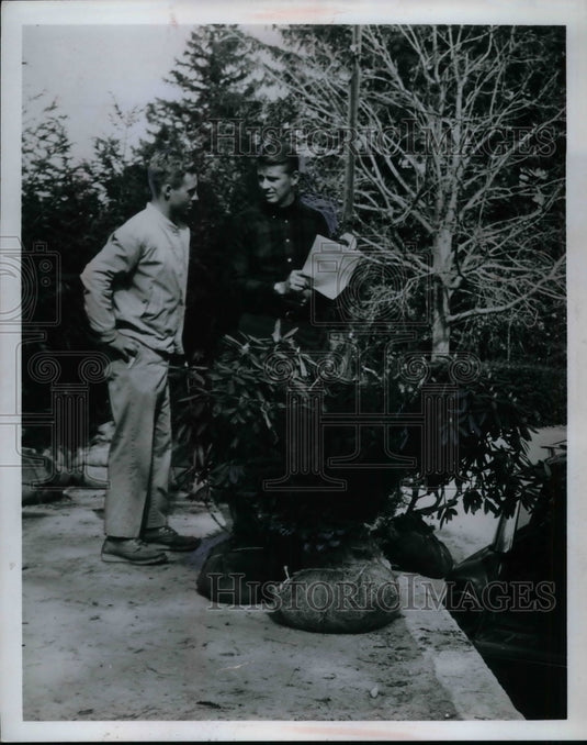 1968 Press Photo Trees - Historic Images
