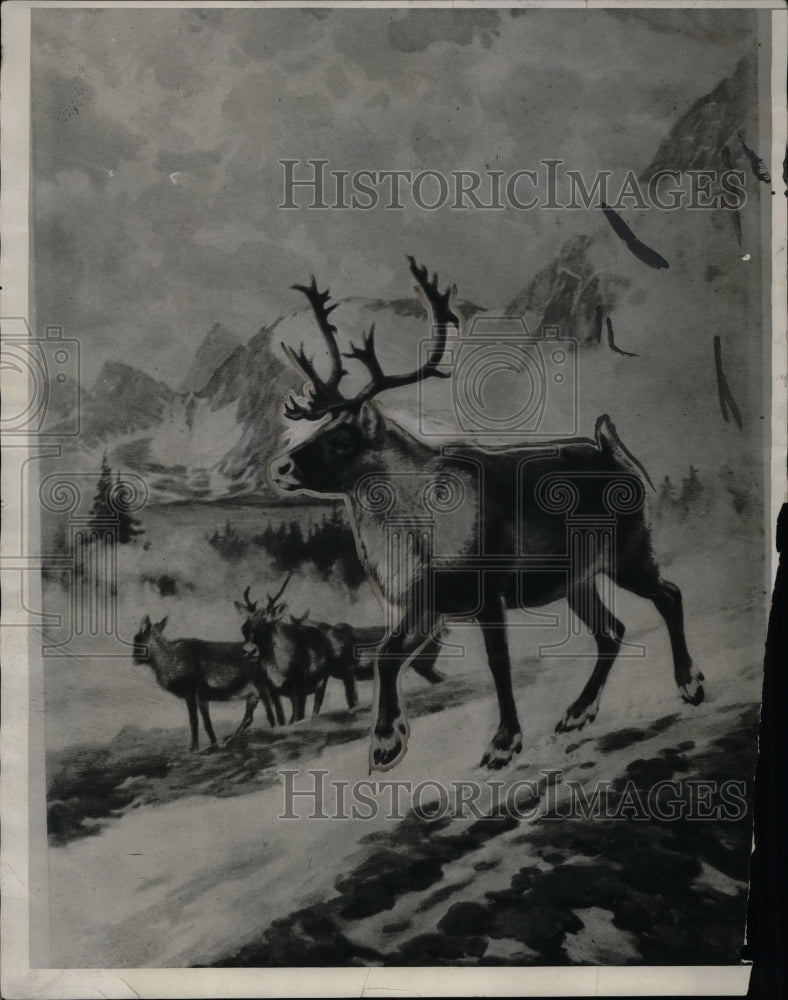 1931 Artwork depicting rein deer in the mountains  - Historic Images