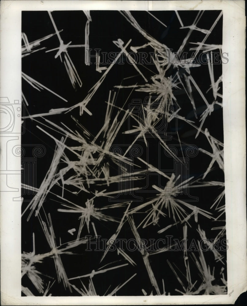 1944 Press Photo Vitamin B1 crystals magnified 20 times - nea69909 - Historic Images