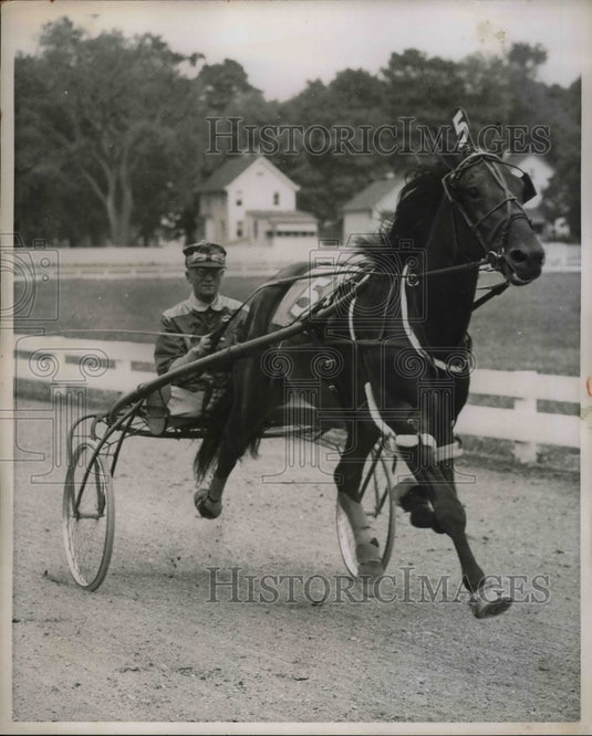 1953 Press Photo Elby Hanover (H.Myott) - nea69930 - Historic Images