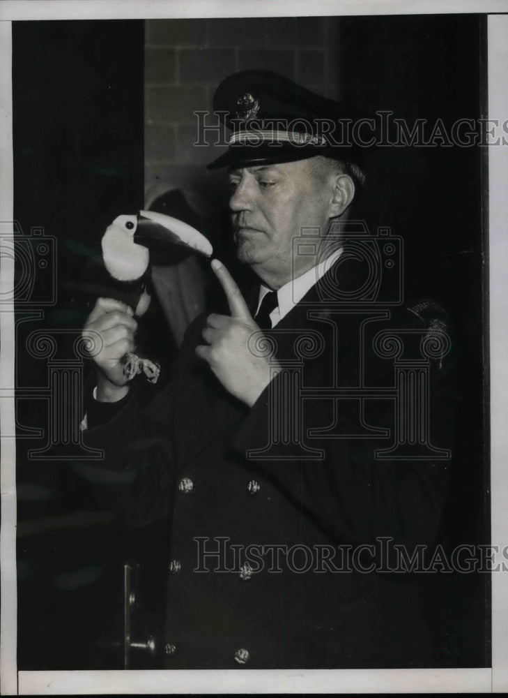 1935 Press Photo Keeper Robert Hutorn with a brilliant Toucan from South Africa. - Historic Images