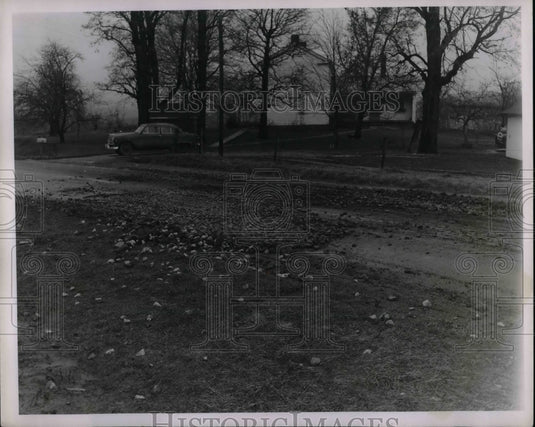 1952 Route 90 East Of St Petersburg City Limits  - Historic Images