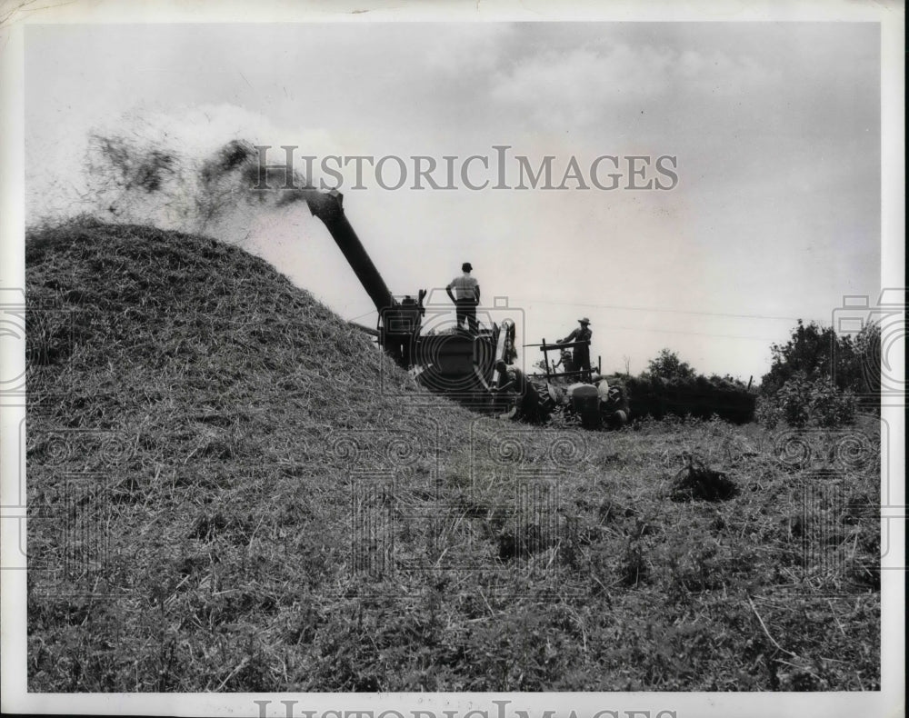 1958 Threshing Machine Discharges Straw After Grain Separated - Historic Images