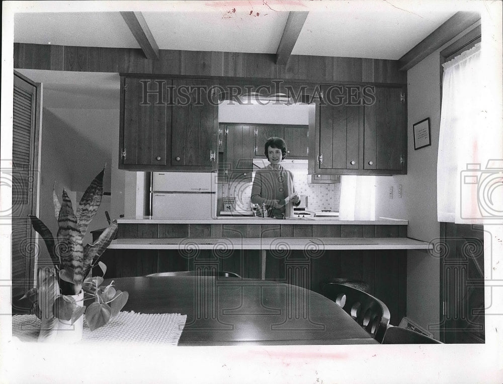 1966 Mrs. Jack Turner in the Kitchen  - Historic Images