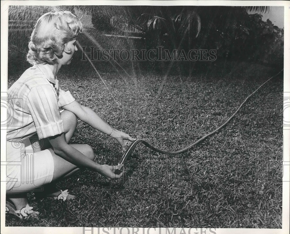 1959 Press Photo Lady Using a Soaker Hose in her Yard - nea71653 - Historic Images