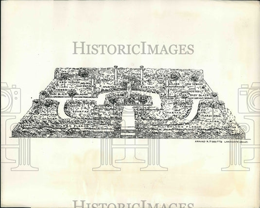 1956 Press Photo Drawing of Grecian Rose Garden at International Flower Show - Historic Images