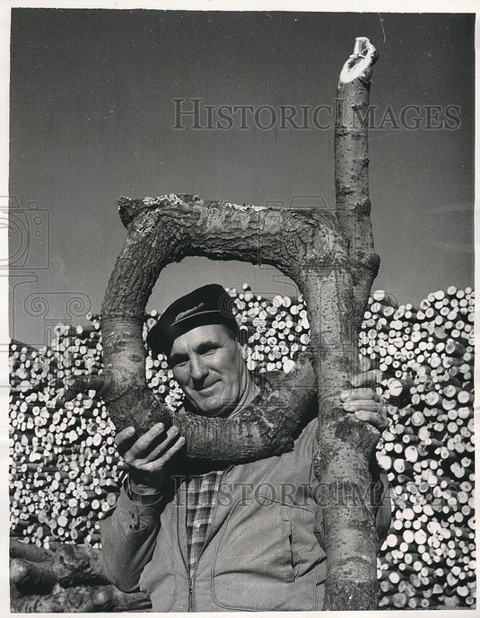 1961 Gordon Bauman, Wood Quality Supervisor for the Packaging Corp. - Historic Images