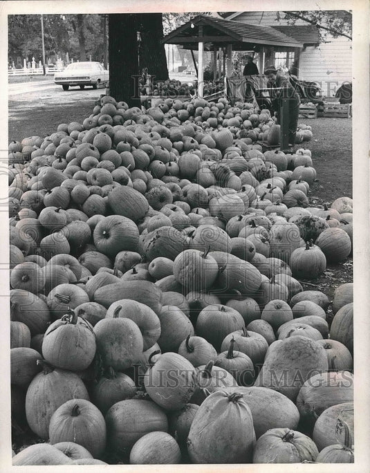 Pile of Pumpkins at Kriebles Gardens in Detroit  - Historic Images