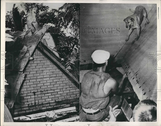 1951 Press Photo Kansas City Mo Flood Recedes - nea72272 - Historic Images
