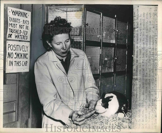 1948 Press Photo Dr. Ruth Boak  at University of Rochester - Historic Images