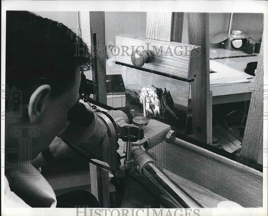 1968 A visitor to the national Library and public archive - Historic Images