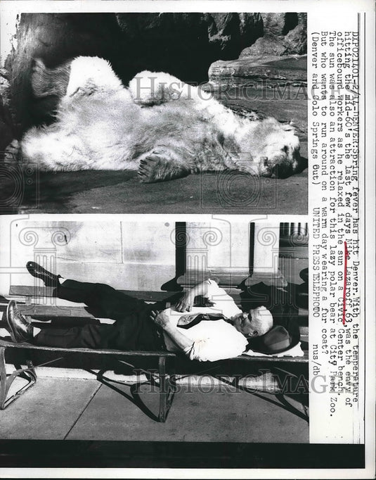 1957 Mike Lazaroff relaxing in the sun  - Historic Images