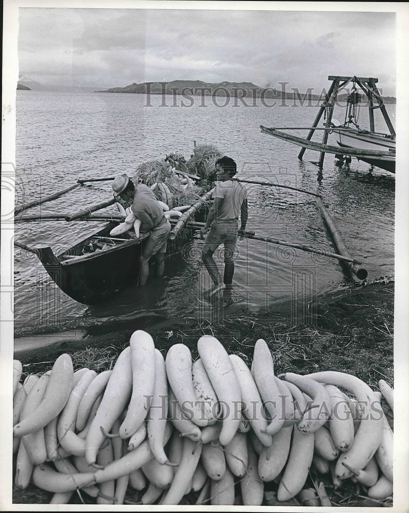 1969 A load of rice fruits and vegetables unloaded by Islanders - Historic Images