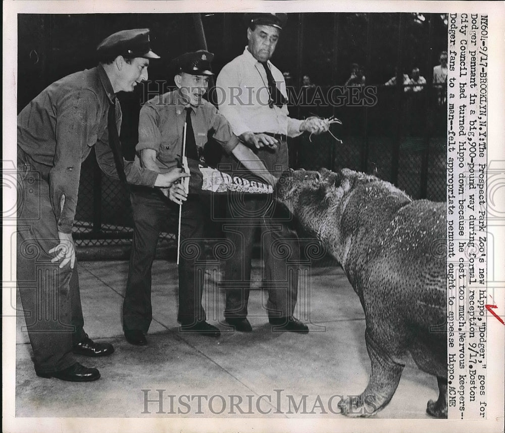 1951 The Prospect Park Zoo&#39;s new hippo with keepers  - Historic Images