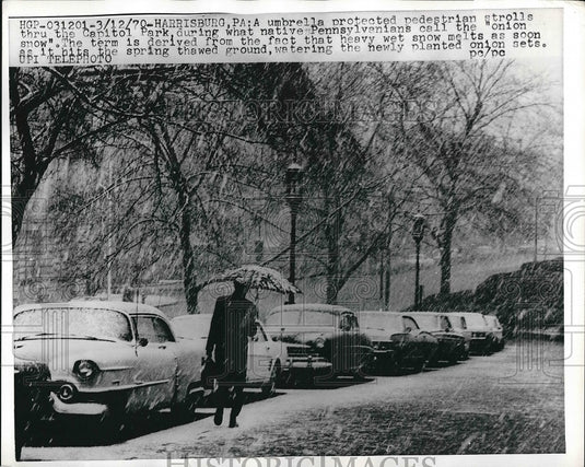 1970 Pennsylvania Resident Walking with Umbrella Through Onion Snow - Historic Images