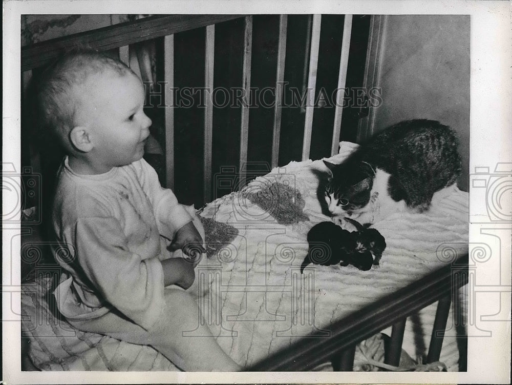 1945 Press Photo Tommy Hickman Child With Kittens Born In Crib - Historic Images
