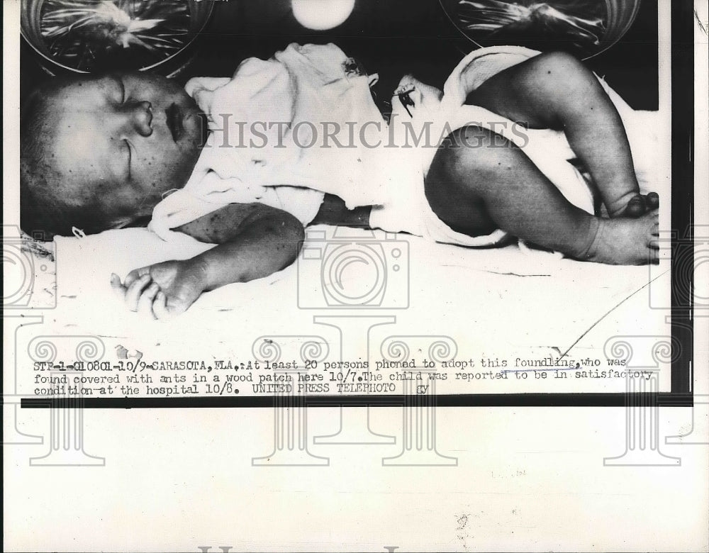 1956 Press Photo At least 20 persons phoned to adopt this foundling , who was - Historic Images