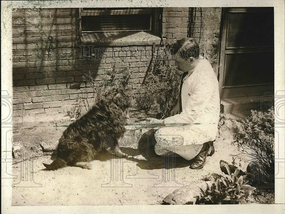 1931 Press Photo Dr. W.A. Young with a spaniel whose leg was crushed - Historic Images