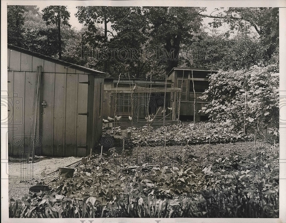1938 Press Photo Garden and small Chicken farm - nea73504 - Historic Images