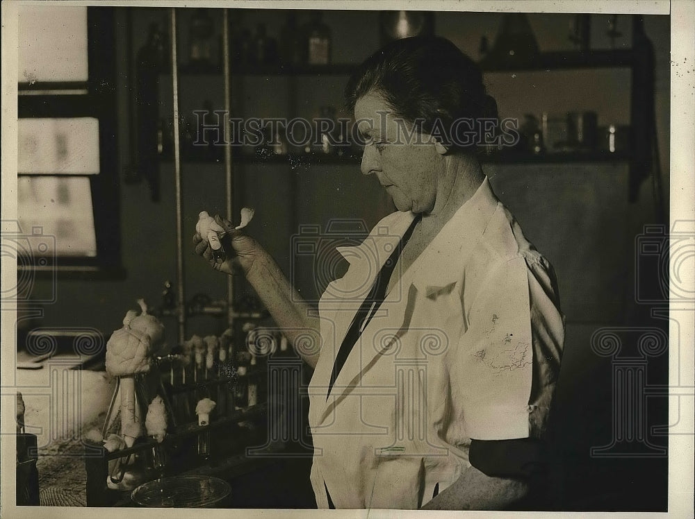 1932 Press Photo Miss Agnes Quirk, science aide at Payhological Labs - nea73807 - Historic Images